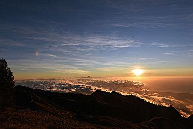 《恶霸鲁尼》代餐？Steam新作《阿吉菲尔德高中》公开